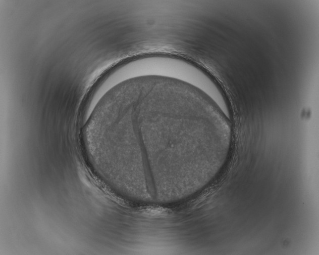 X0000111580583200908271038