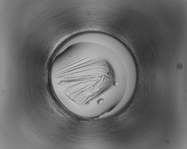 X0000111580584200908271038