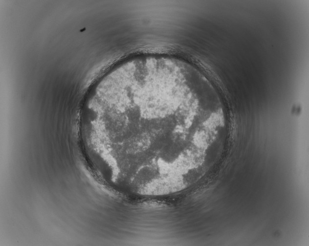 X0000111580586200908271038