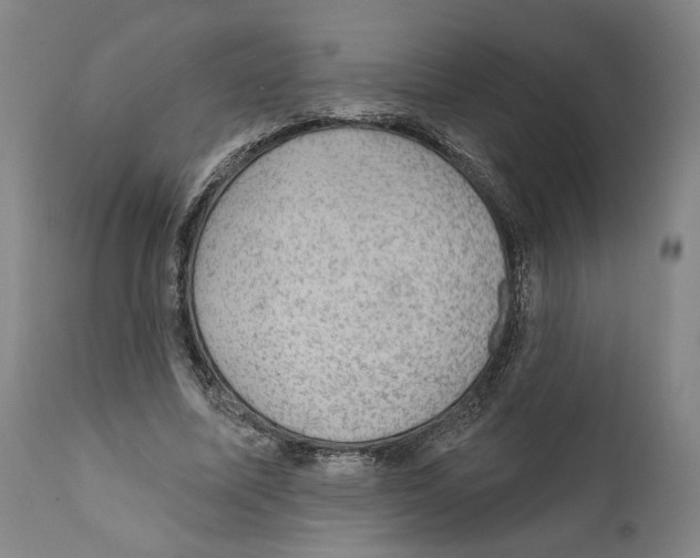 X0000111580587200908271038