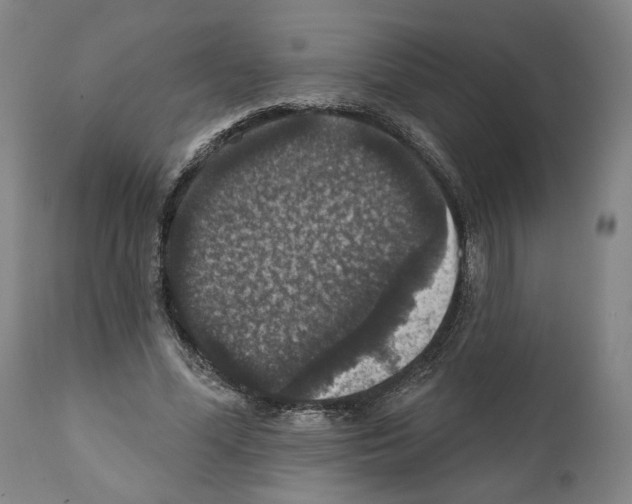 X0000111580588200908271038