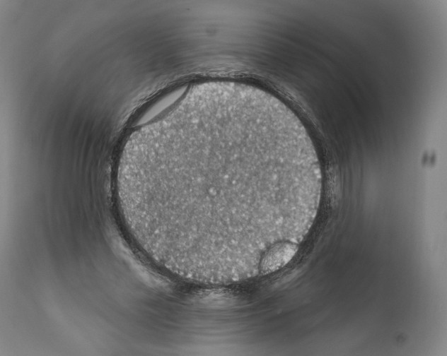 X0000111580589200908271038