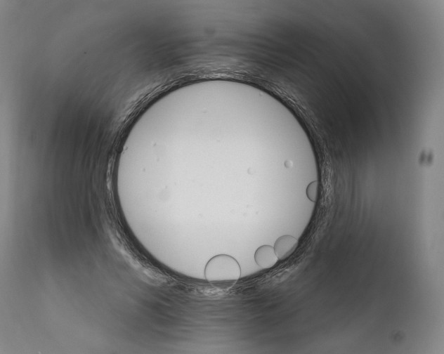 X0000111580590200908271038