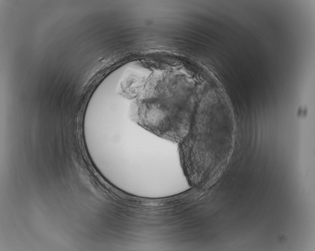 X0000111580591200908271038