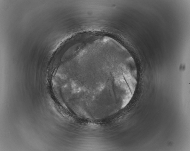 X0000111580592200908271038