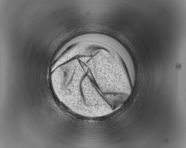 X0000111580593200908271038