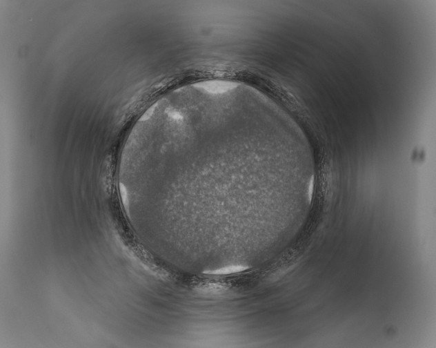 X0000111580594200908271038