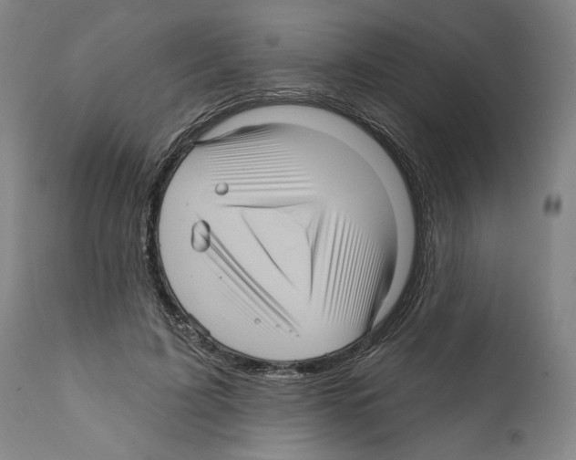 X0000111580595200908271038