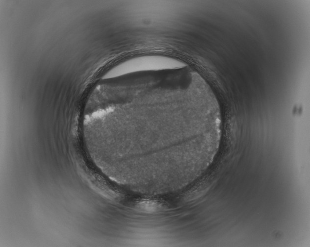 X0000111580596200908271038