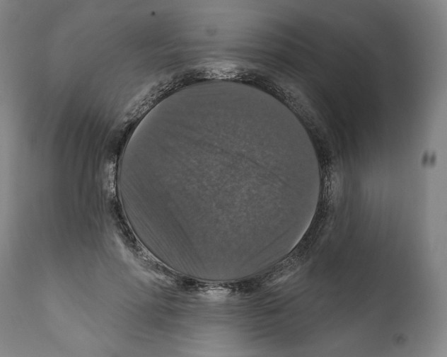 X0000111580598200908271038