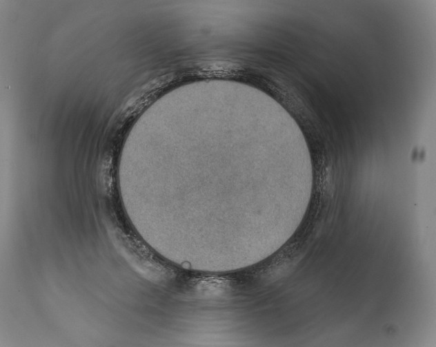 X0000111580599200908271038