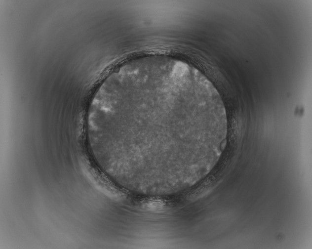 X0000111580600200908271038