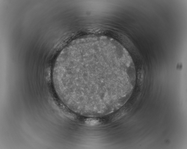 X0000111580602200908271038