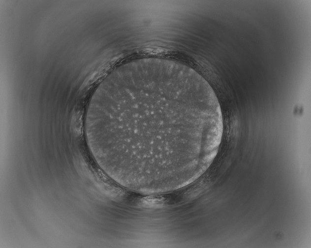 X0000111580606200908271037