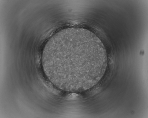 X0000111580607200908271037