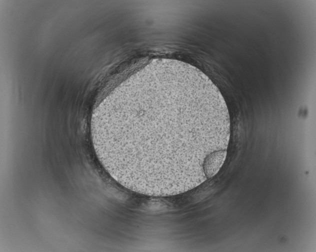 X0000111580608200908271037