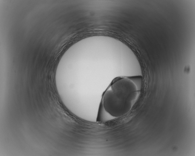 X0000111580609200908271037