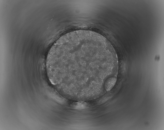 X0000111580612200908271037