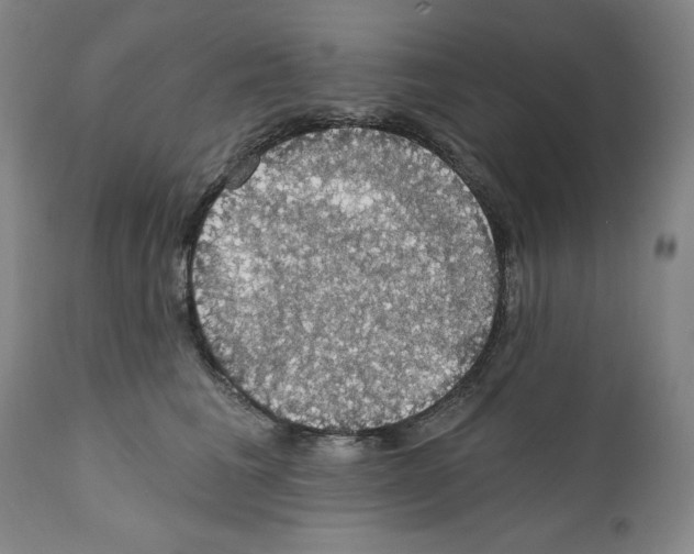 X0000111580613200908271037