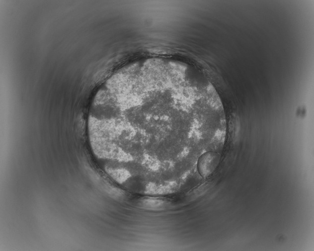 X0000111580614200908271037