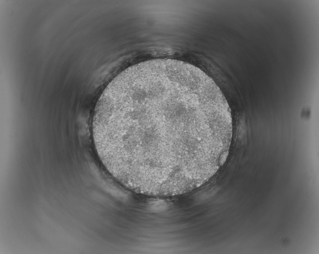 X0000111580616200908271037