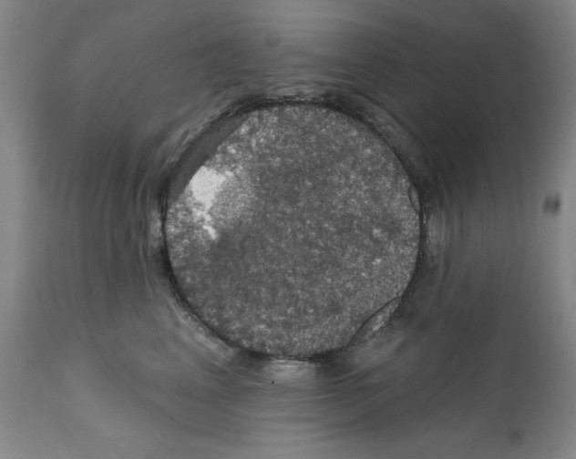 X0000111580617200908271037