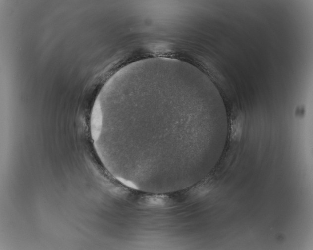 X0000111580618200908271037