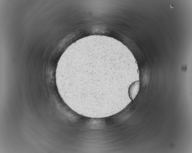 X0000111580619200908271037