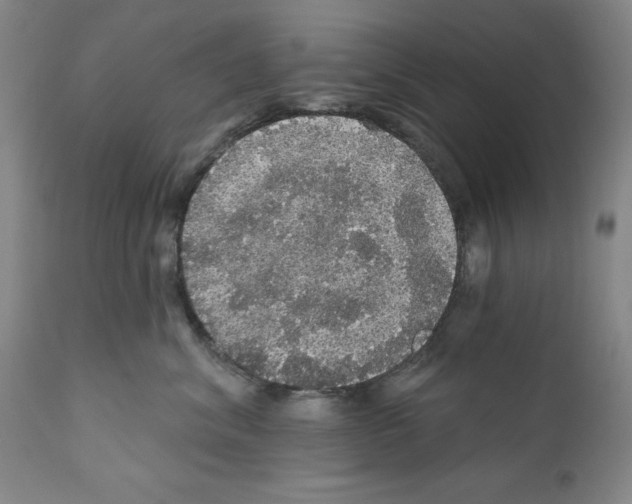 X0000111580620200908271037