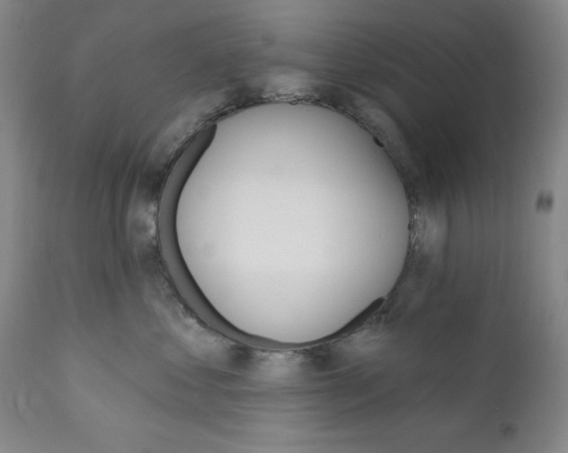 X0000111580621200908271037