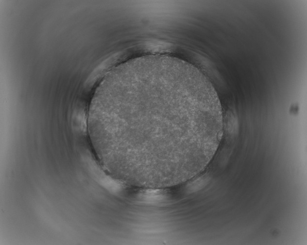 X0000111580622200908271037