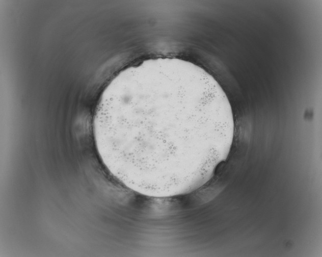 X0000111580623200908271037