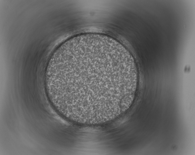 X0000111580625200908271037