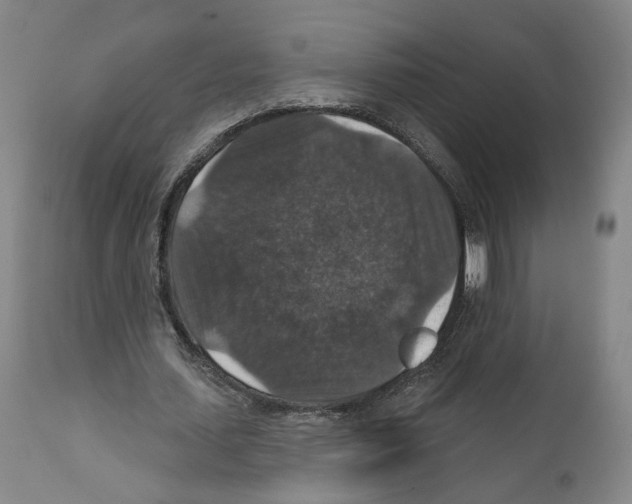 X0000111580627200908271037