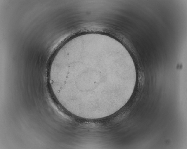 X0000111580629200908271037