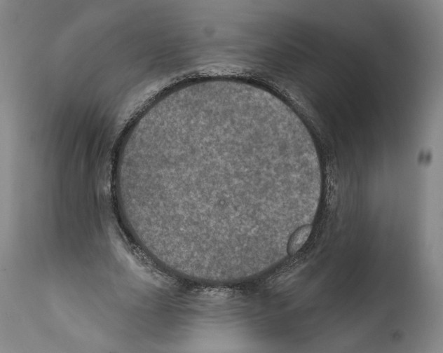 X0000111580631200908271037