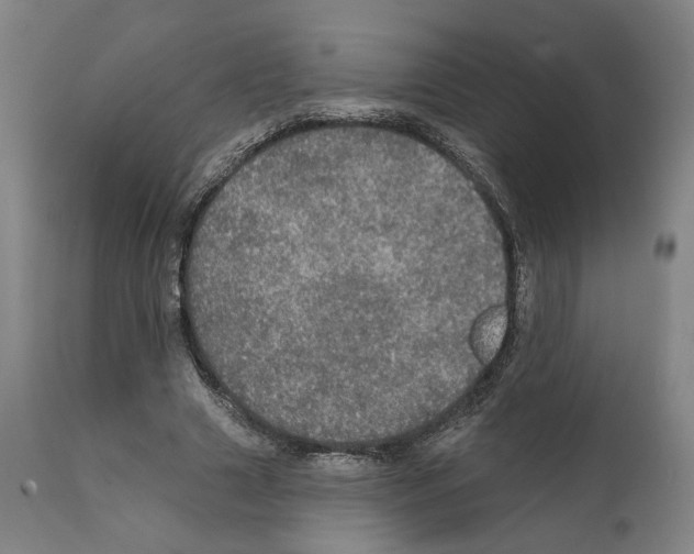 X0000111580633200908271037