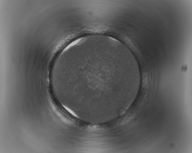 X0000111580634200908271037