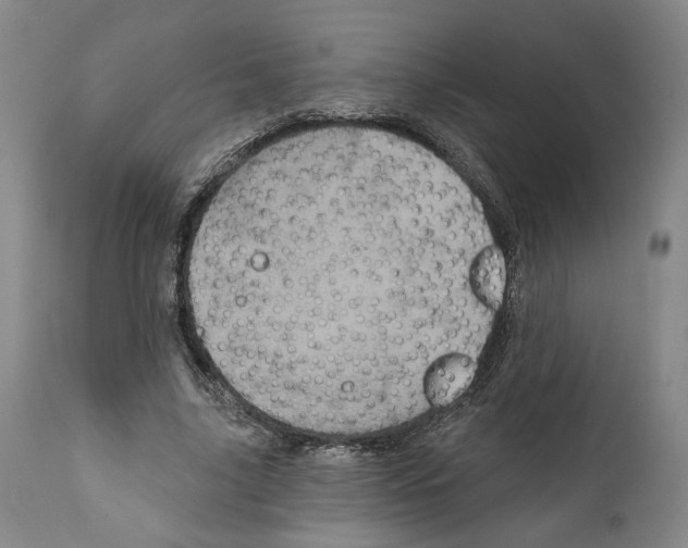 X0000111580635200908271037