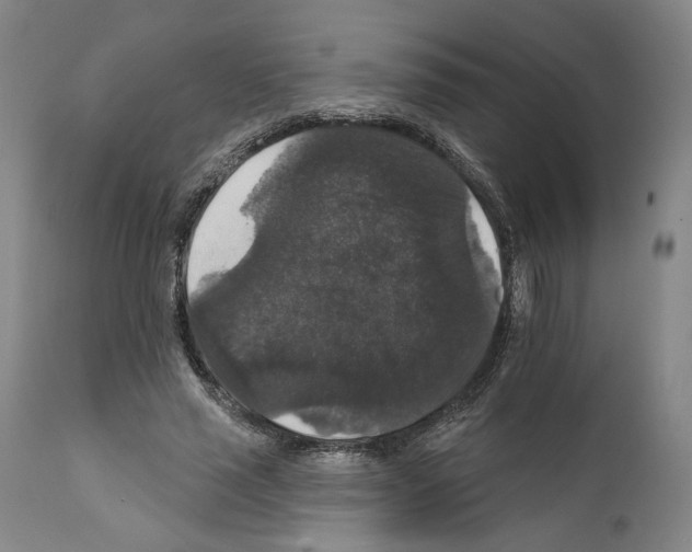 X0000111580637200908271037