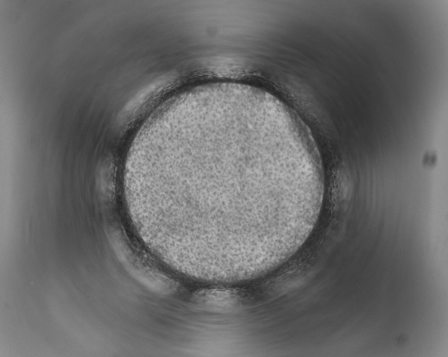 X0000111580639200908271037