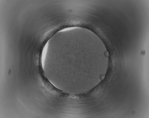 X0000111580640200908271037