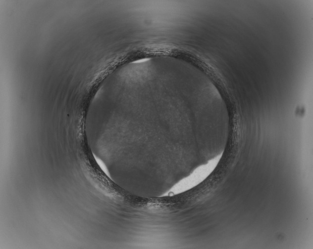 X0000111580641200908271037