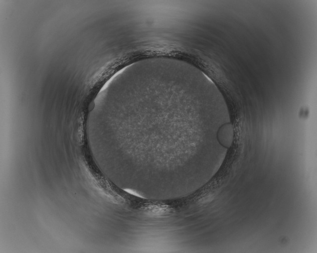 X0000111580642200908271037