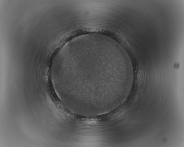 X0000111580643200908271037