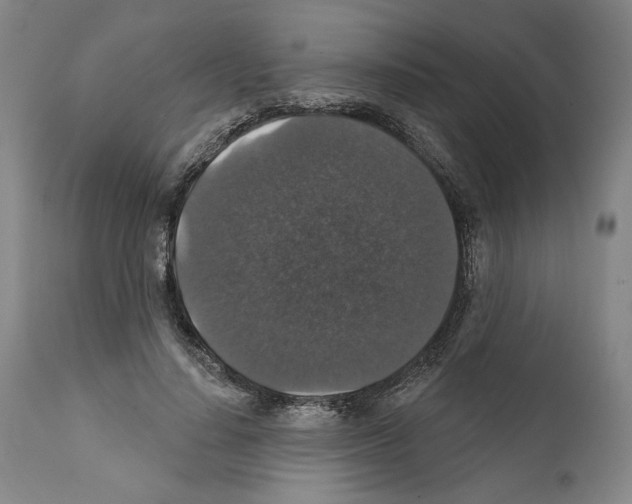 X0000111580644200908271037