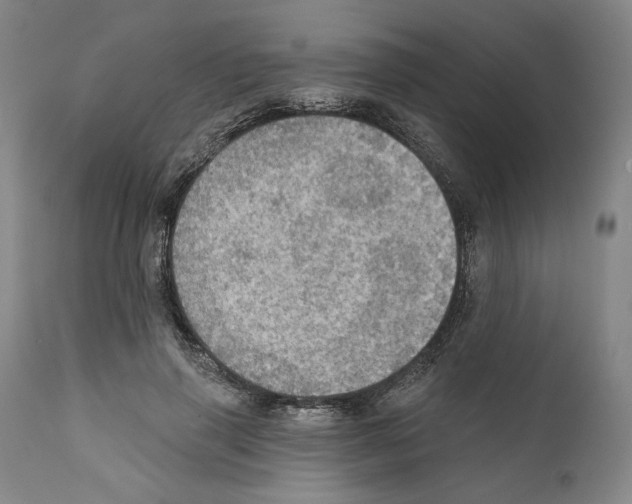 X0000111580645200908271037