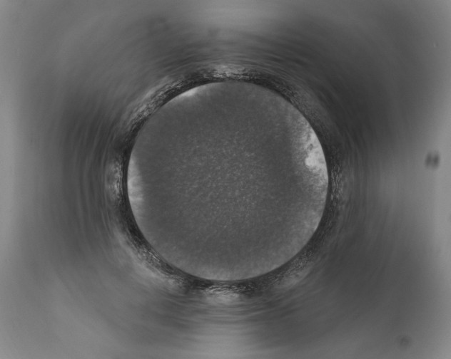 X0000111580648200908271037