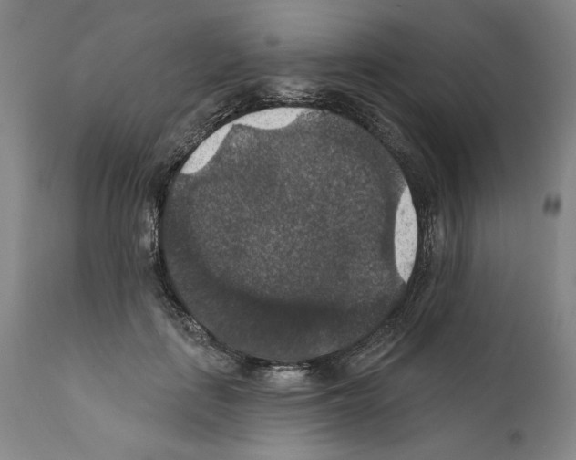 X0000111580651200908271037