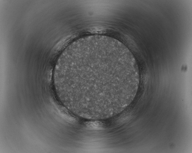 X0000111580652200908271037